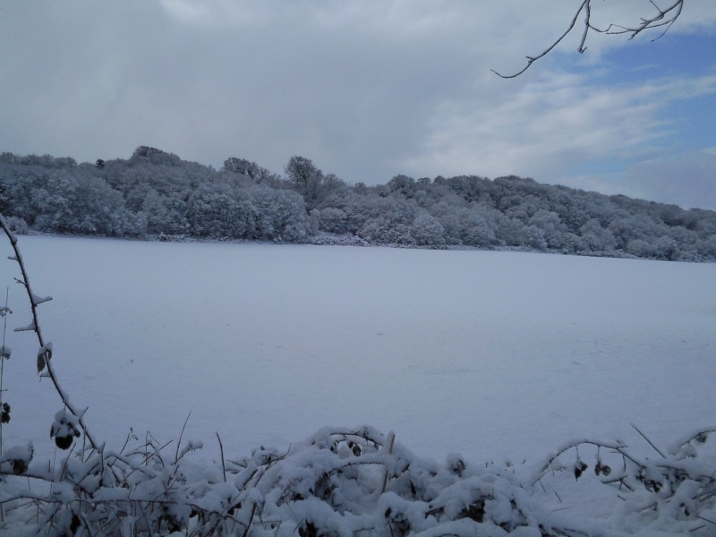 photo010.jpg