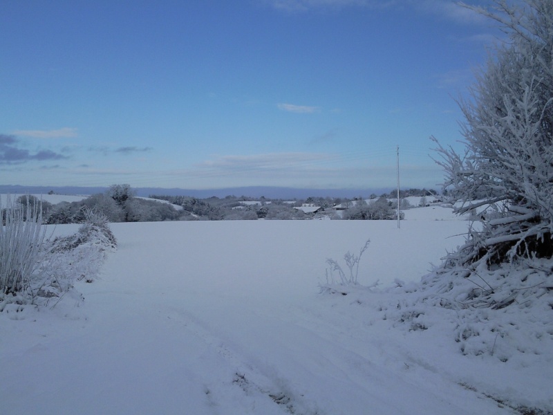 photo011.jpg