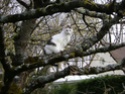 dsc00812.jpg