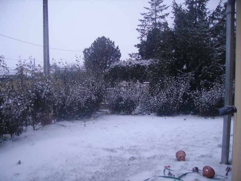 http://i65.servimg.com/u/f65/13/35/68/41/neige_11.jpg