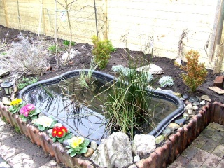 Installer un bassin de jardin préformé  WEBTV Aquajardin  Grabeezy
