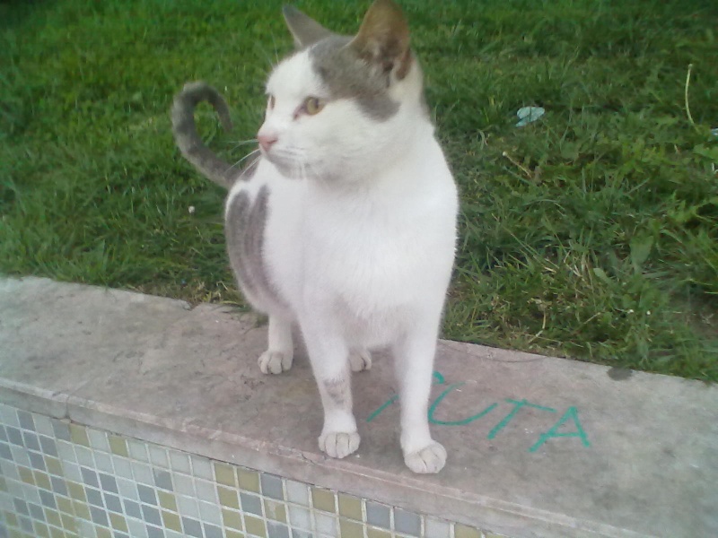 Imagem