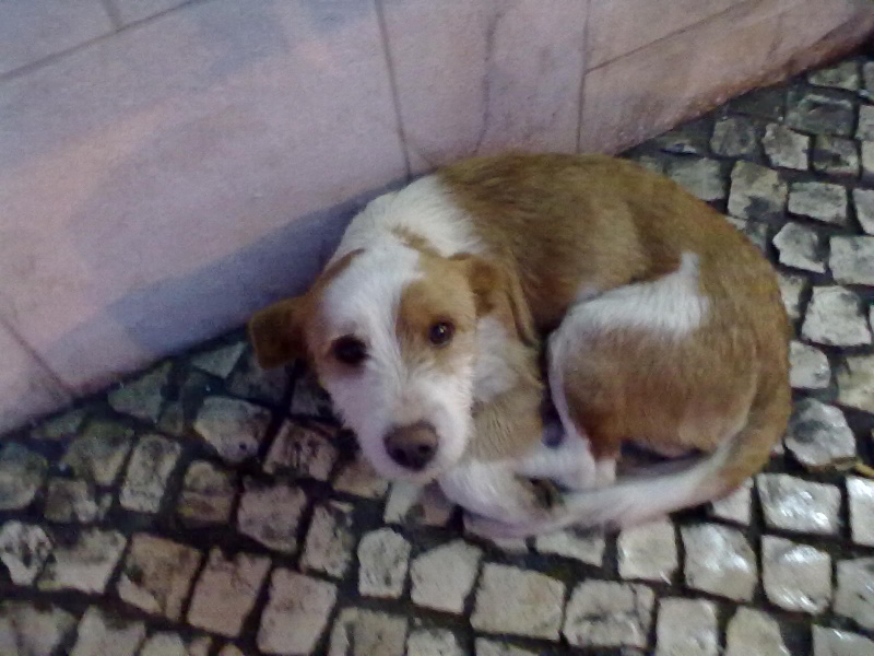 Imagem