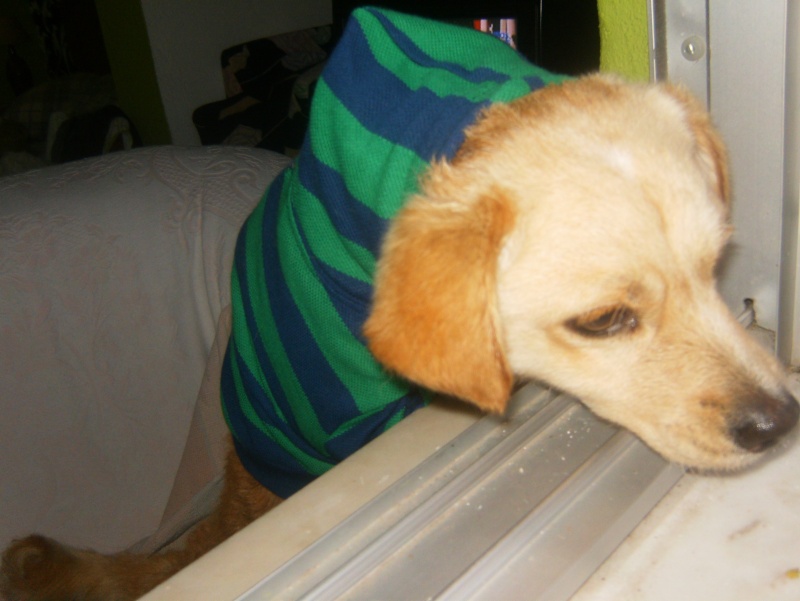 Imagem