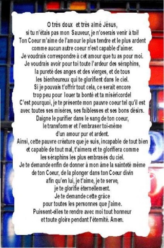 albert cohen belle du seigneur la rencontre