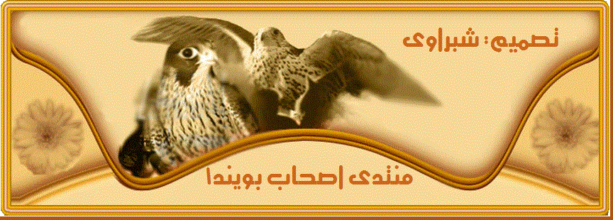 اصحاب بويند1