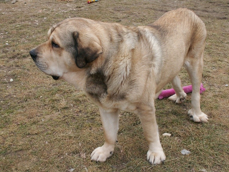 pict0012.jpg