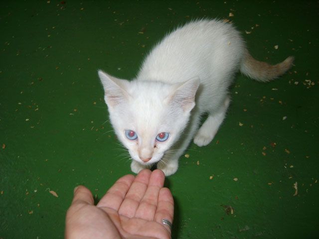 luca10.jpg