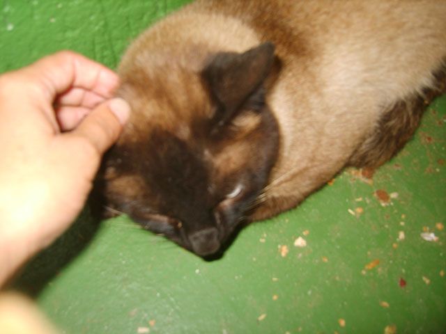 marli-10.jpg