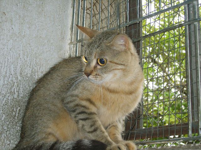 nel110.jpg