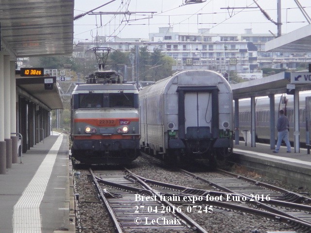 train_11.jpg