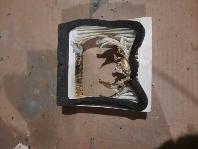 filtre10.jpg