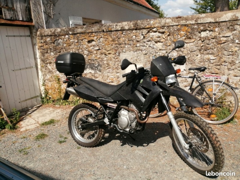 lbc110.jpg