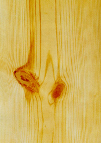 wood1211.jpg