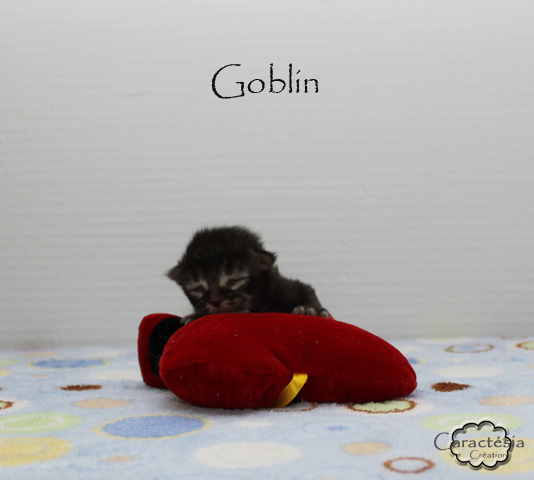 goblin10.jpg