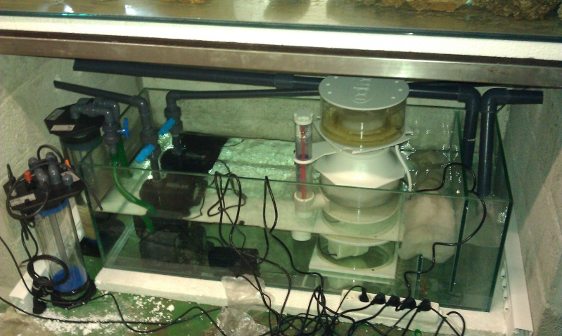 imag0012.jpg